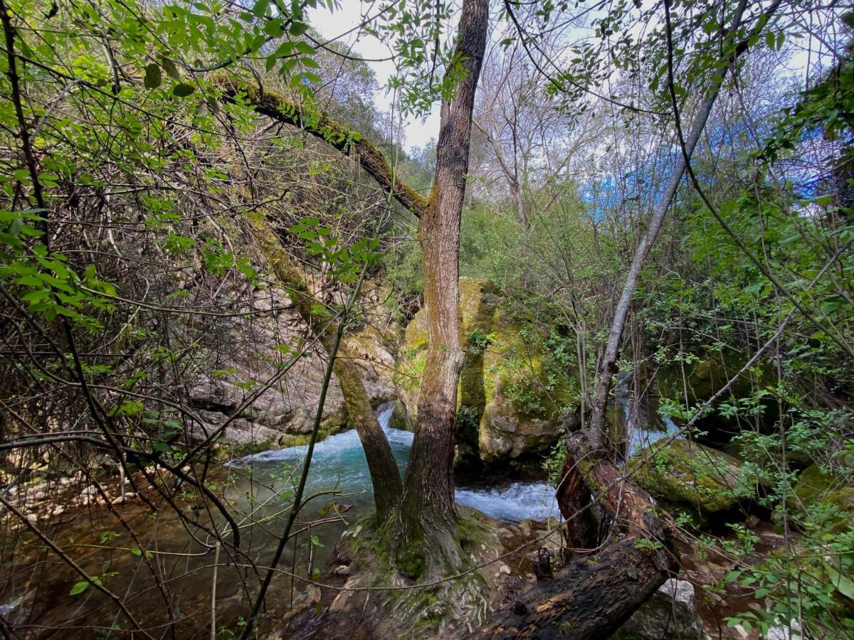 Villa Dima Vivienda Turistica El Bosque Exterior foto